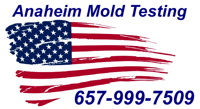 Mold Inspection Anaheim