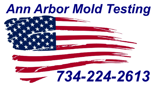 Mold Inspection Ann Arbor