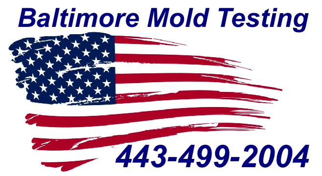 Mold Inspection Baltimore