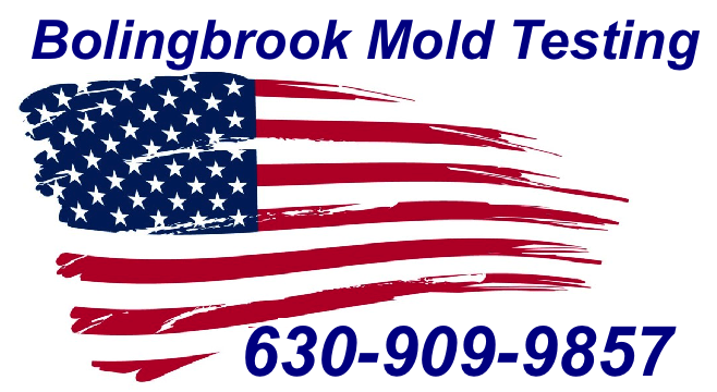 Mold Inspection Bolingbrook