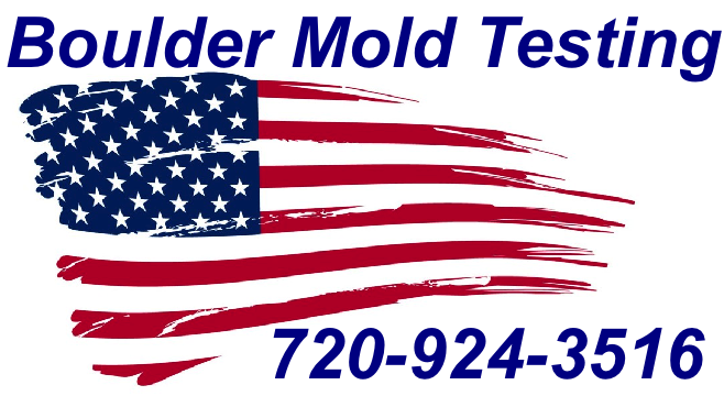 Mold Inspection Boulder