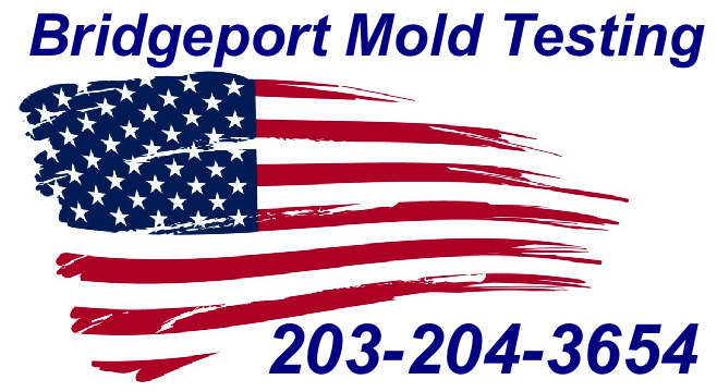 Mold Inspection Bridgeport