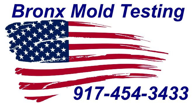 Mold Inspection Bronx