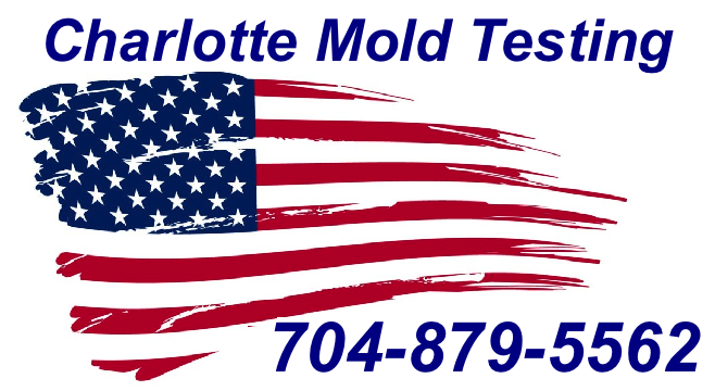 Mold Inspection Charlotte