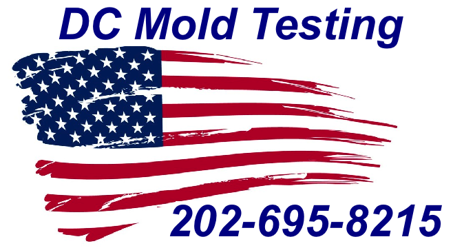 Mold Inspection DC