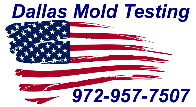 Mold Inspection Dallas