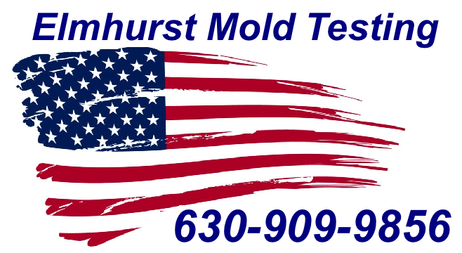 Mold Inspection Elmhurst