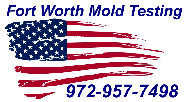 Mold Inspection Fort Worth