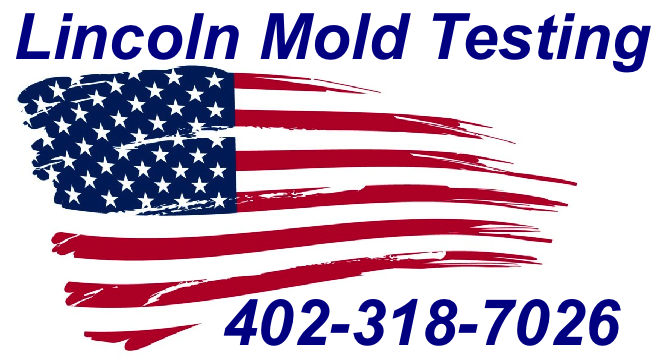 Mold Inspection Lincoln