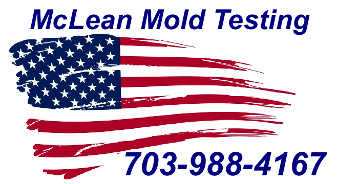 Mold Inspection McLean