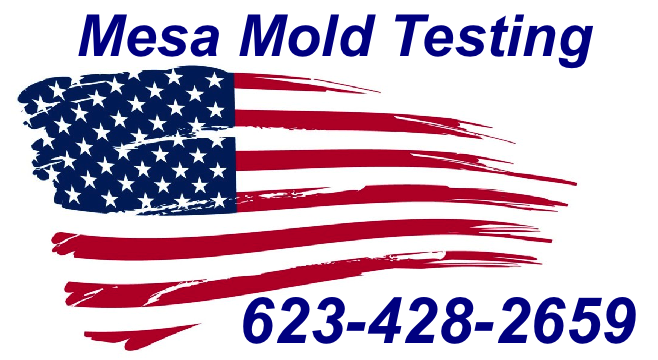 Mold Inspection Mesa