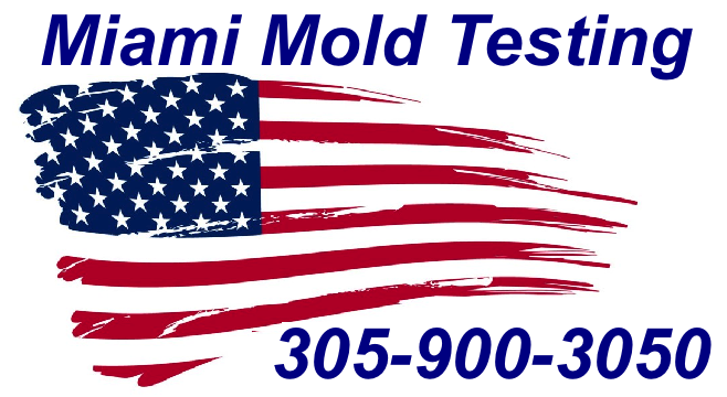 Mold Inspection Miami