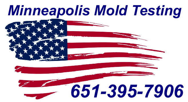 Mold Inspection Minneapolis