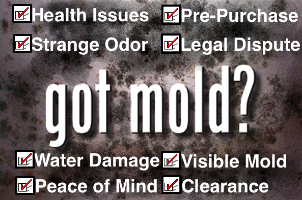 Mold Test McLean