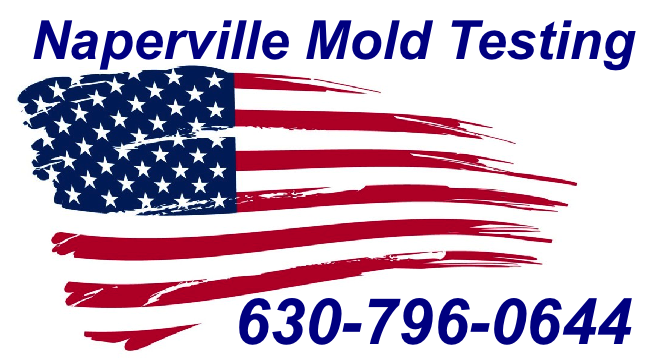 Mold Inspection Naperville