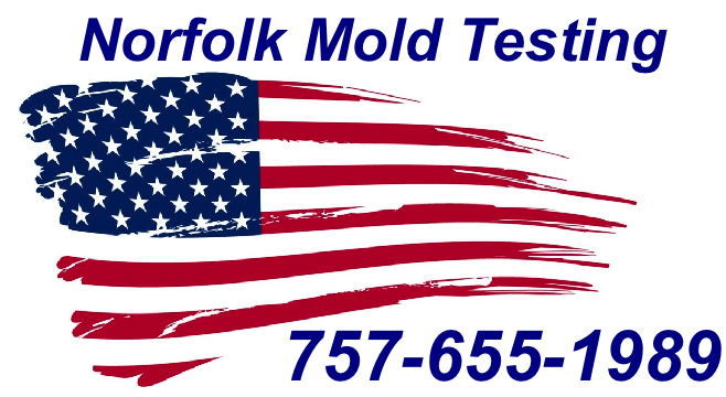 Mold Inspection Norfolk