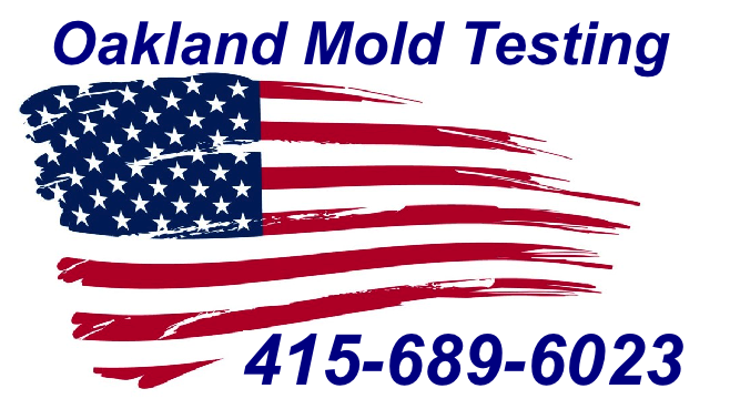 Mold Inspection Oakland