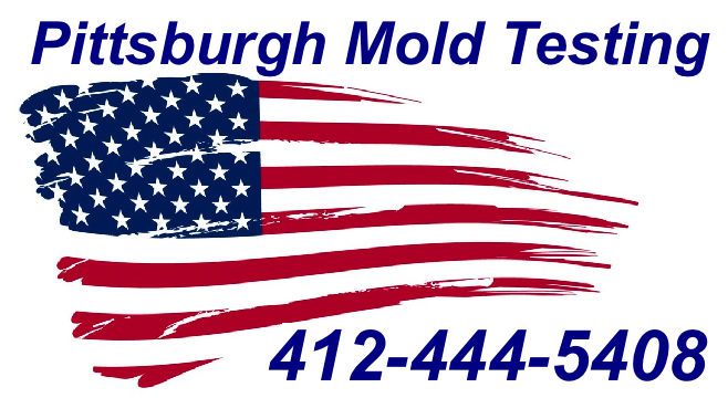 Mold Inspection Pittsburgh