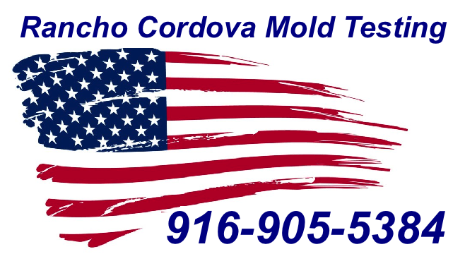 Mold Inspection Rancho Cordova