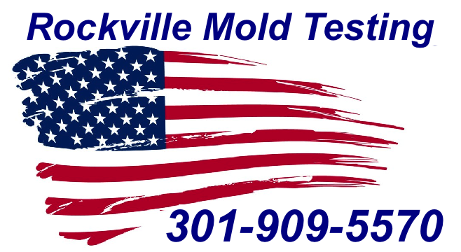 Mold Inspection Rockville