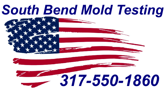 Mold Inspection South Bend