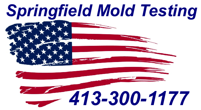 Mold Inspection Springfield