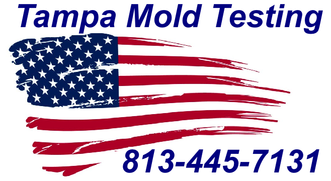 Mold Inspection Tampa