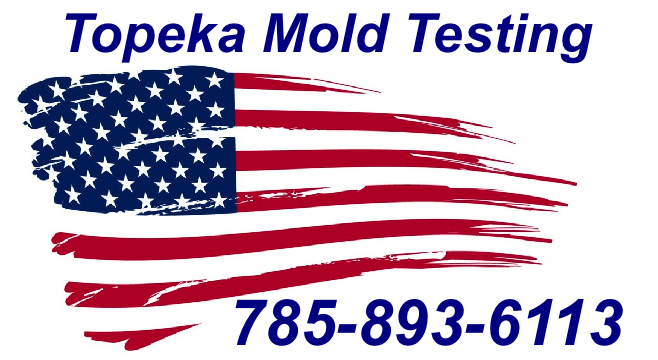 Mold Inspection Topeka