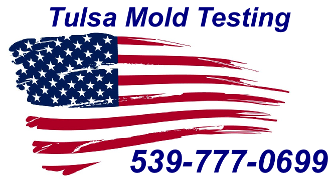 Mold Inspection Tulsa