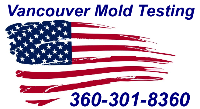 Mold Inspection Vancouver