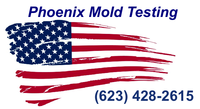 Phoenix Mold Testing