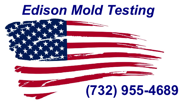 Edison Mold Testing