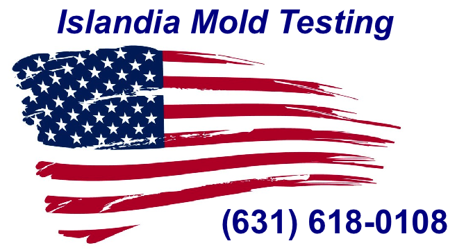 Islandia Mold Testing