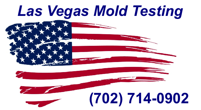 Las Vegas Mold Testing