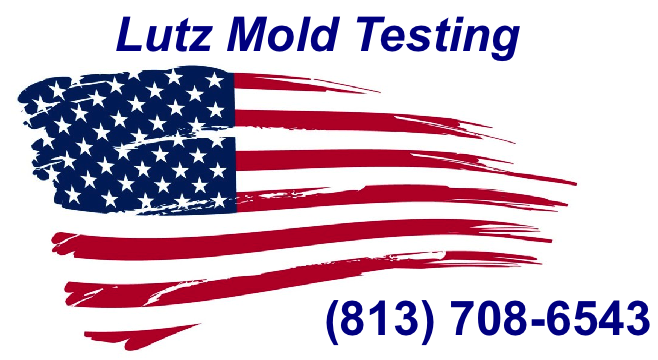 Lutz Mold Testing