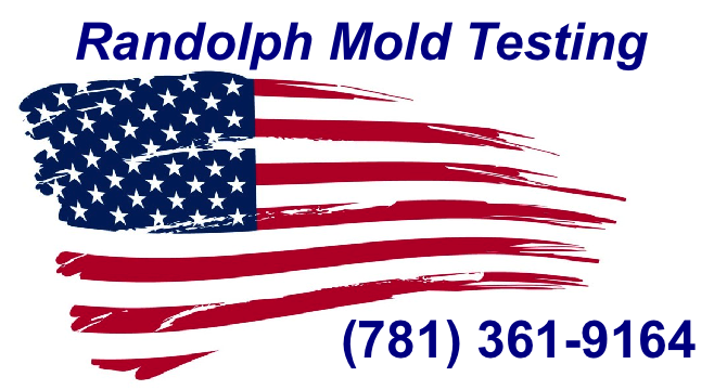 Randolph Mold Testing